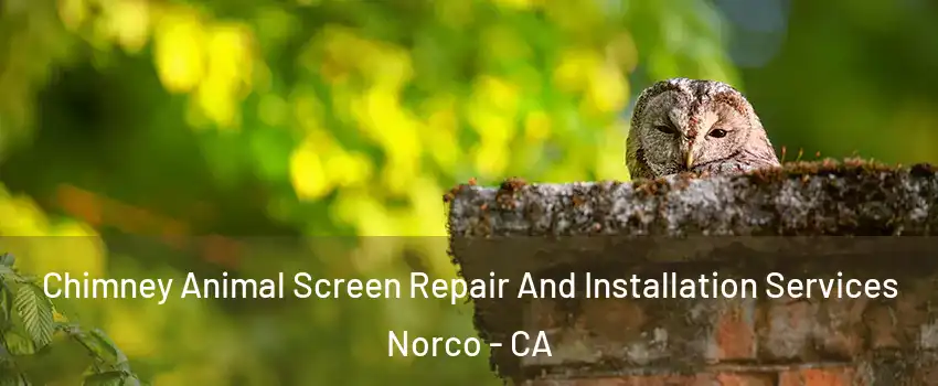  Chimney Animal Screen Repair And Installation Services Norco - CA