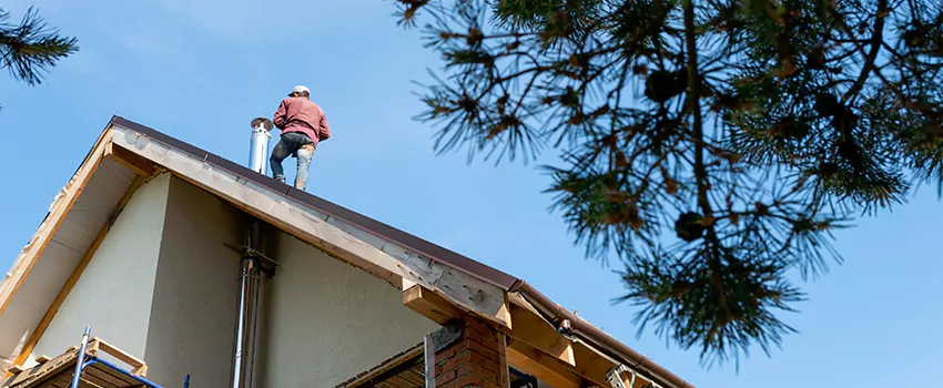 Birds Removal Contractors from Chimney in Norco, CA
