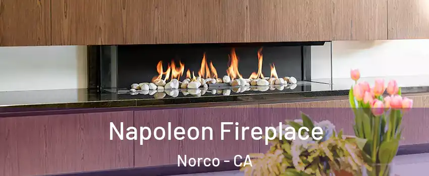  Napoleon Fireplace Norco - CA